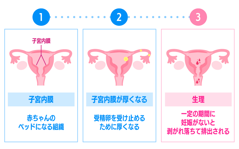 生理の仕組み